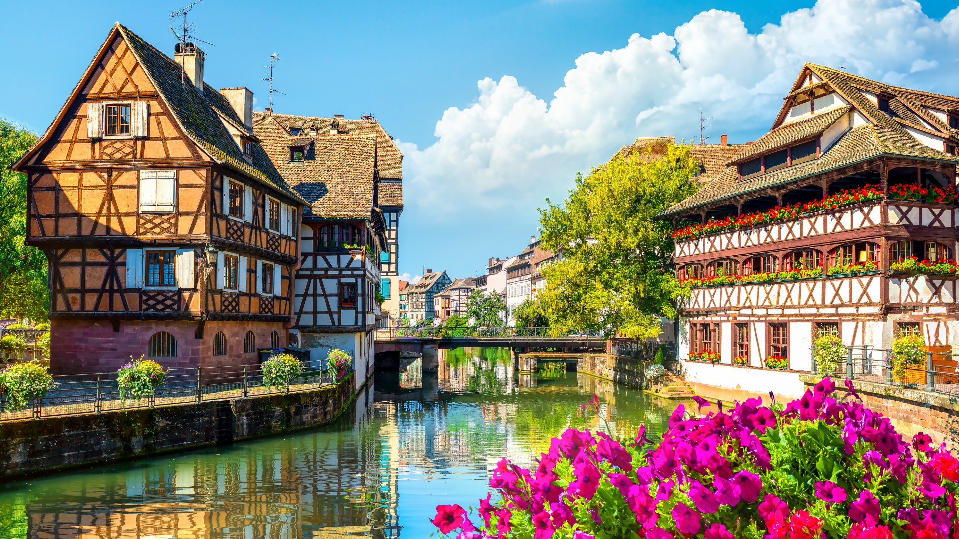 Strasbourg half-timbered houses along the canal — AMA Waterways Rhine cruise