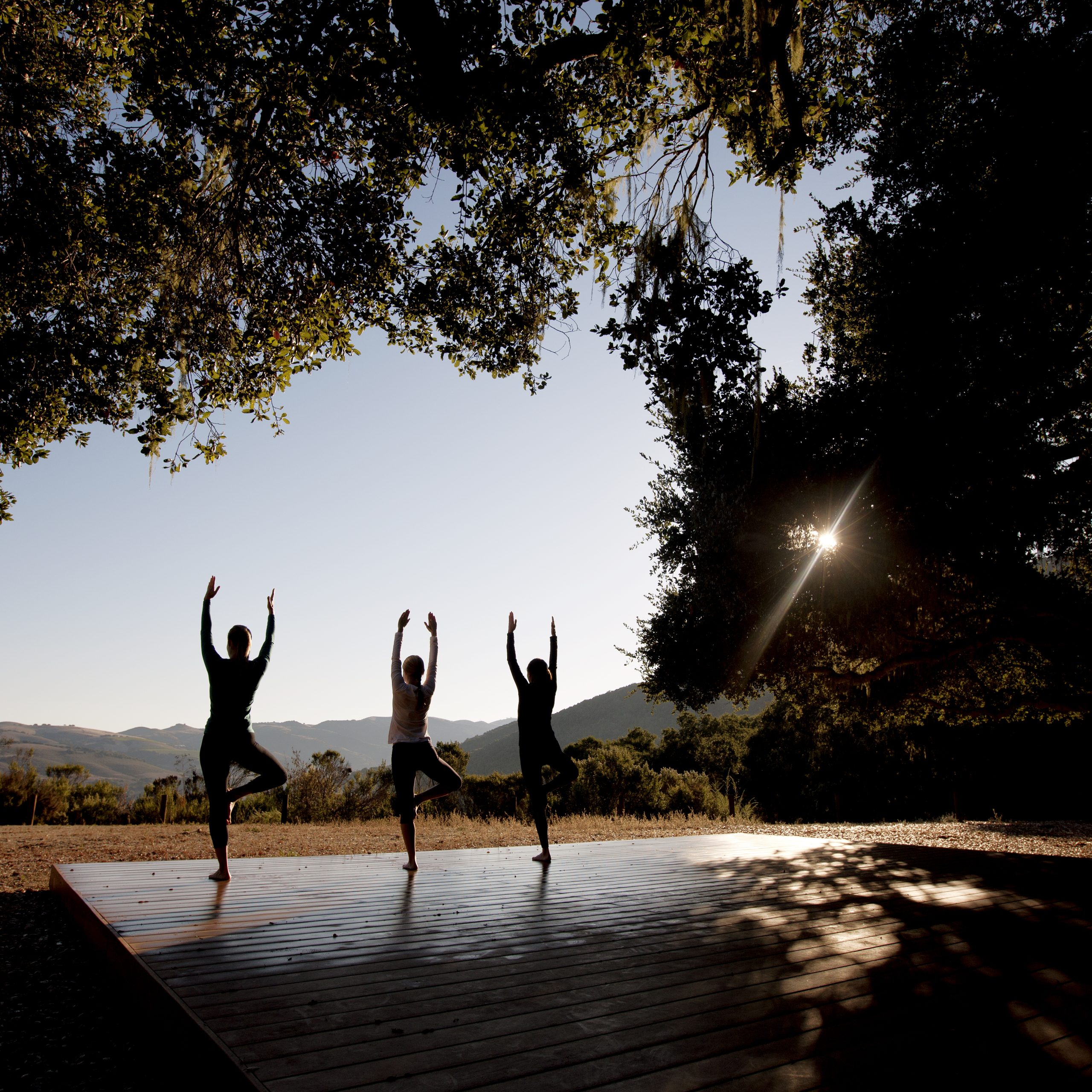 Carmel Valley Ranch — outdoor yoga platform with mountain views, Destination by Hyatt California