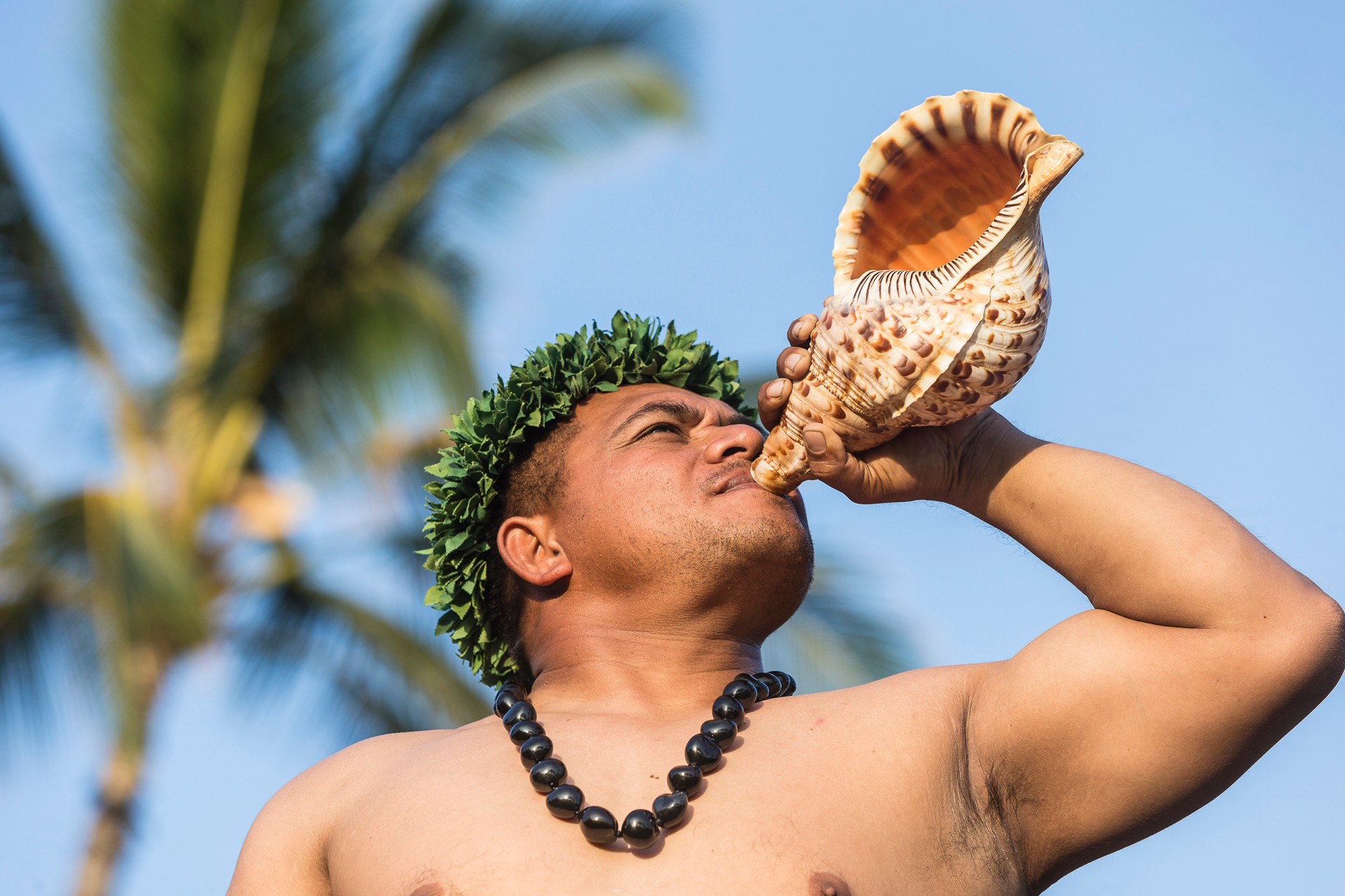 Four Seasons Lanai Hawaii — Hawaiian cultural performer blowing conch shell, authentic local cultural experience at luxury resort